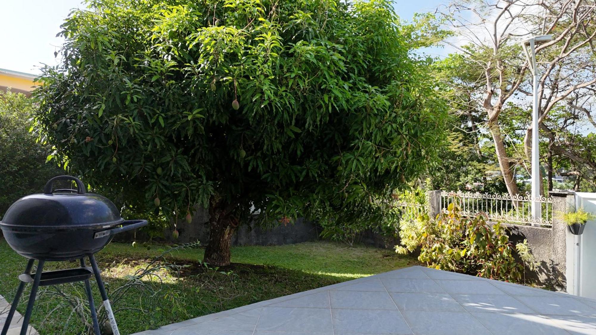 Tropical Paradise La Marina Le Gosier  Exteriér fotografie